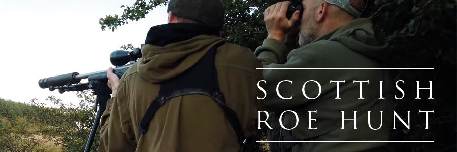 Stalking a Gold Medal Roe Buck with Primal Nomad Bushcraft and Chris ...