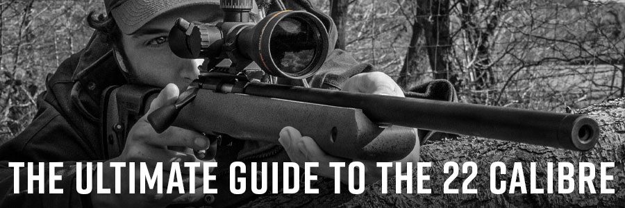 Ultimate Guide to the 22 Calibre